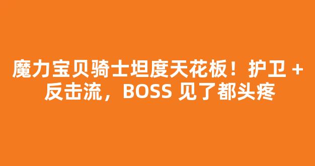 魔力宝贝骑士坦度天花板！护卫 + 反击流，BOSS 见了都头疼